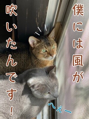 みんな2089