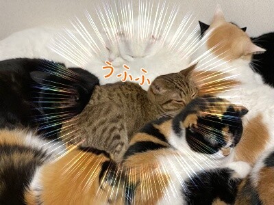 みんな2552