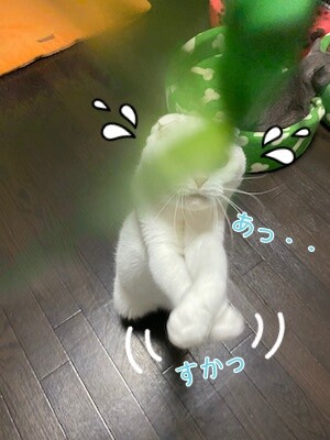 殿5