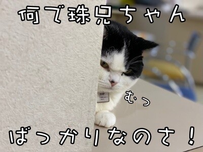珠若821