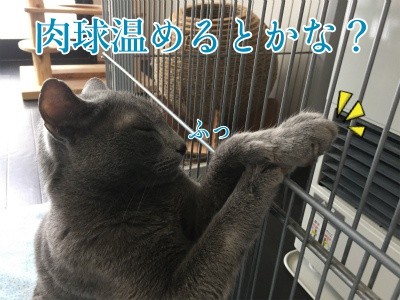 京95