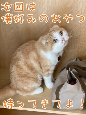 珠若859