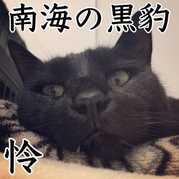 みんな1311