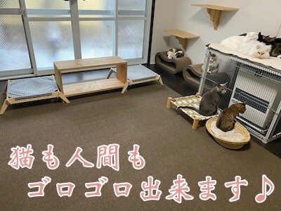 みんな16