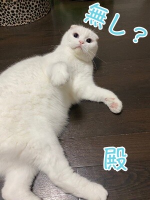 殿895