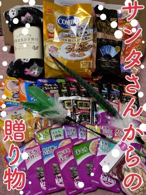 その他194