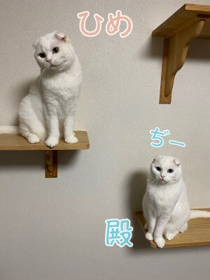 みんな1909