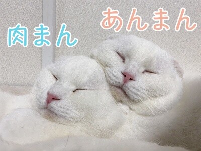 みんな1460