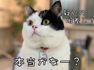 珠若787