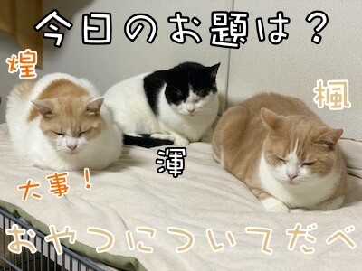 みんな197