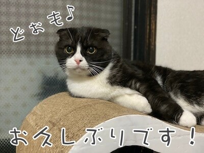 刻18
