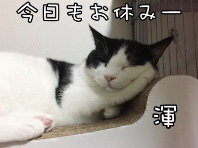 渾87