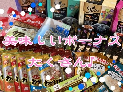 その他239