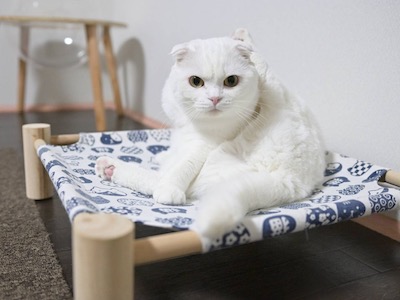 その他391