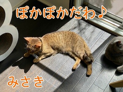 みさき391