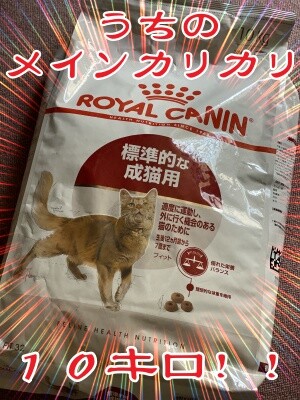 その他222