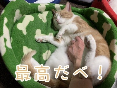 楓631