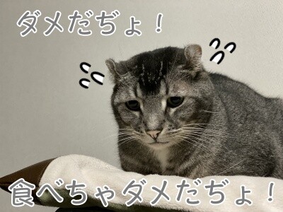 銀285