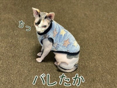 じゅり42