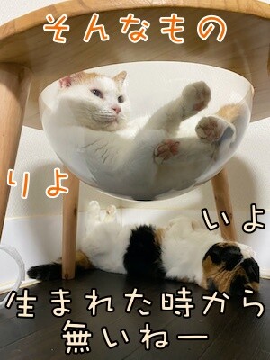 みんな1486