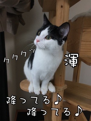 渾9