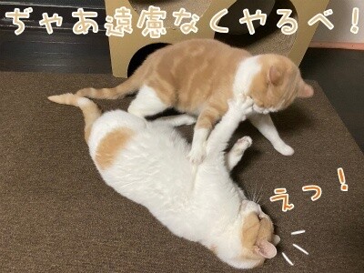 みんな2498