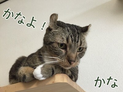 かな199