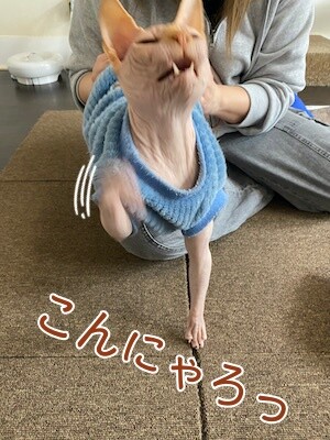 士159