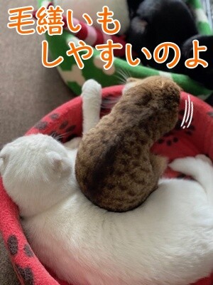 みんな2435