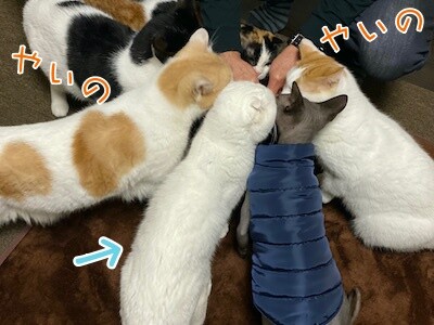 みんな1134