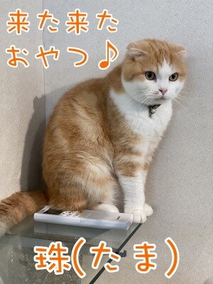 珠若622