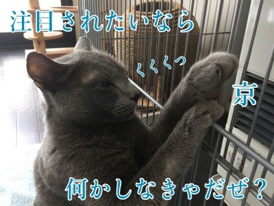 京94