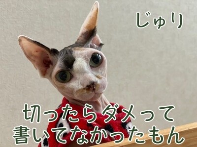 じゅり176