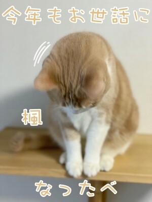 楓1246