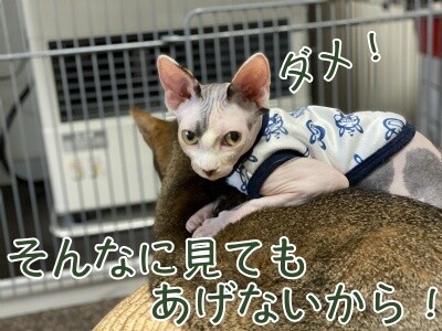 じゅり85