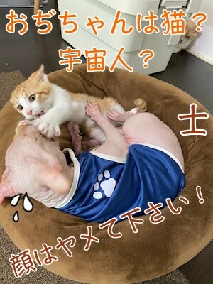 琢10