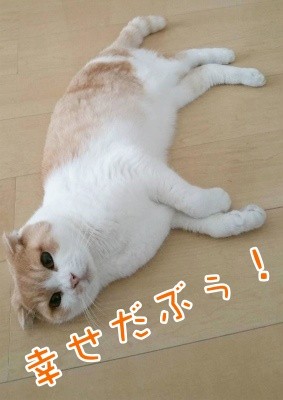 凌36