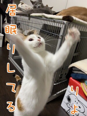 りよ214