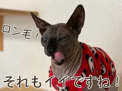 丈200