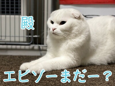 殿601
