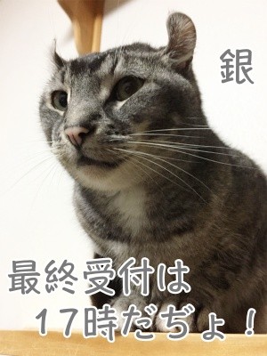 銀161