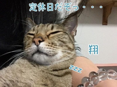 翔117