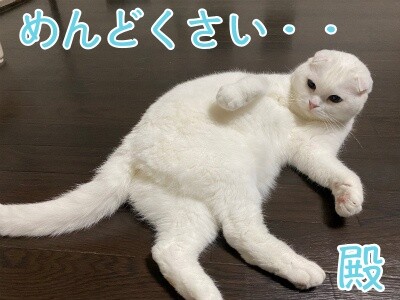 殿902