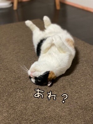 いよ483