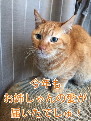 心69