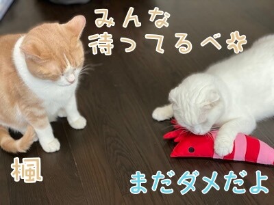 みんな2865