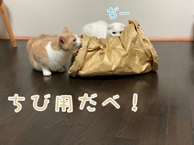 みんな2682