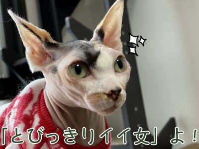 じゅり133