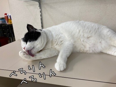 珠若818