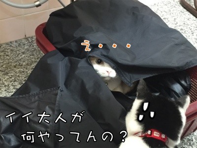 珠若100